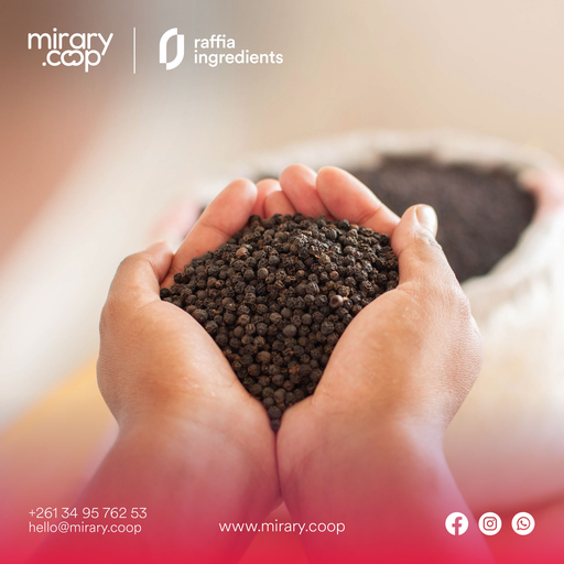 Poivre noir lourd de Madagascar