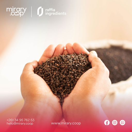 Voatsiperifery - poivre sauvage de Madagascar