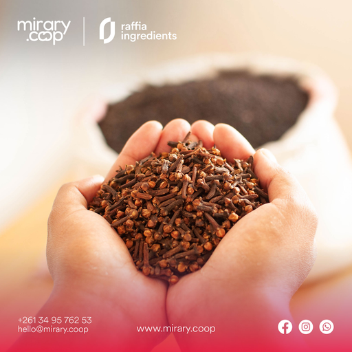 Clou de girofle de Madagascar
